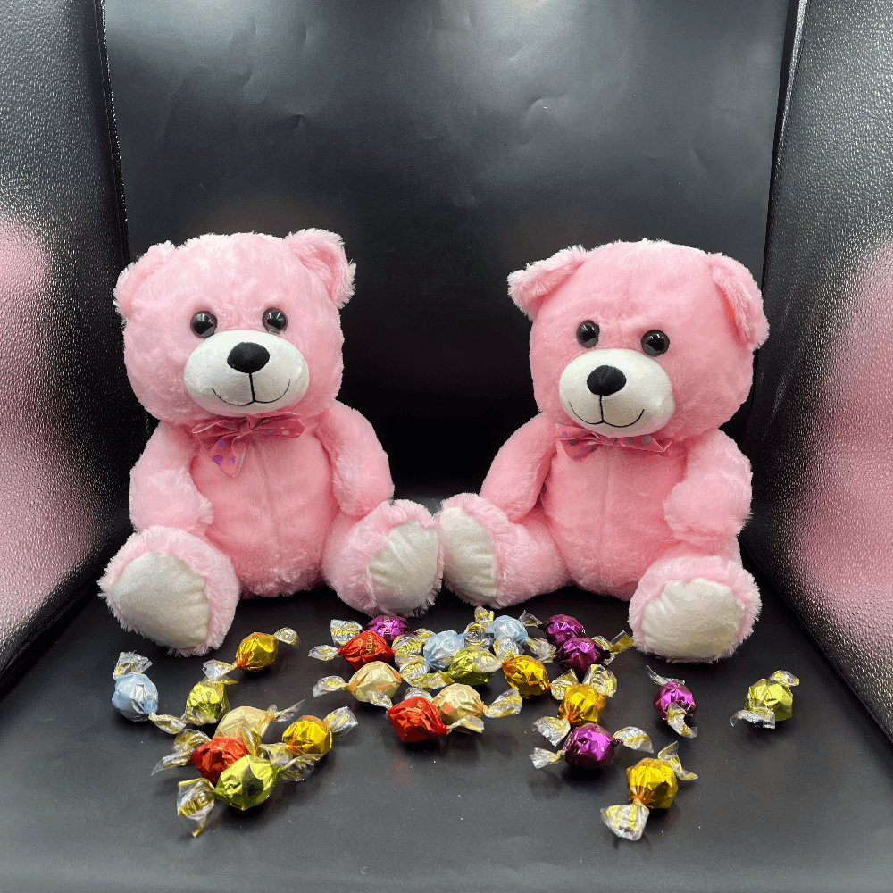 Twist Çikolata & Pembe Sevimli Peluş Ayıcık
