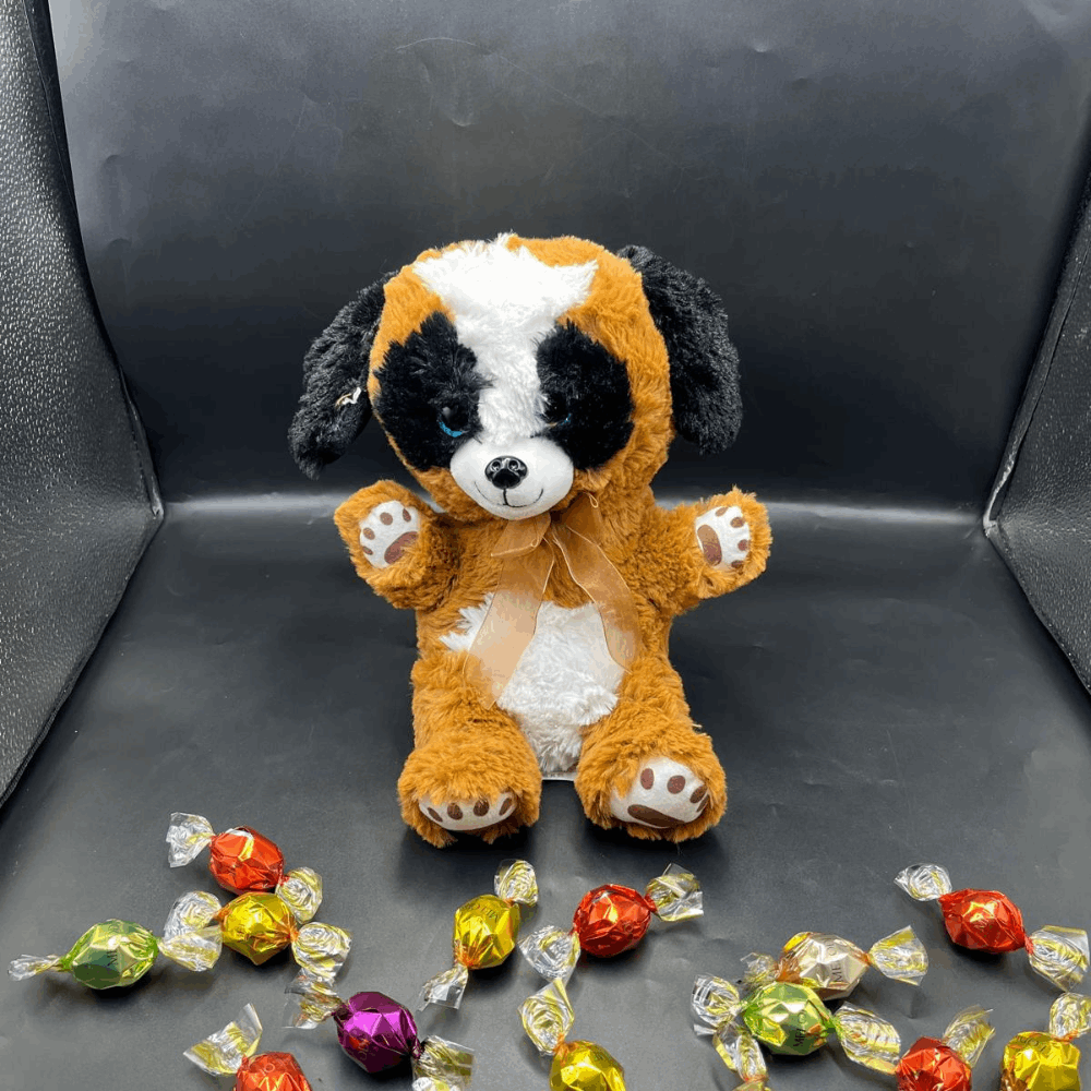 Twist Çikolata & Peluş Köpek (15 Cm )
